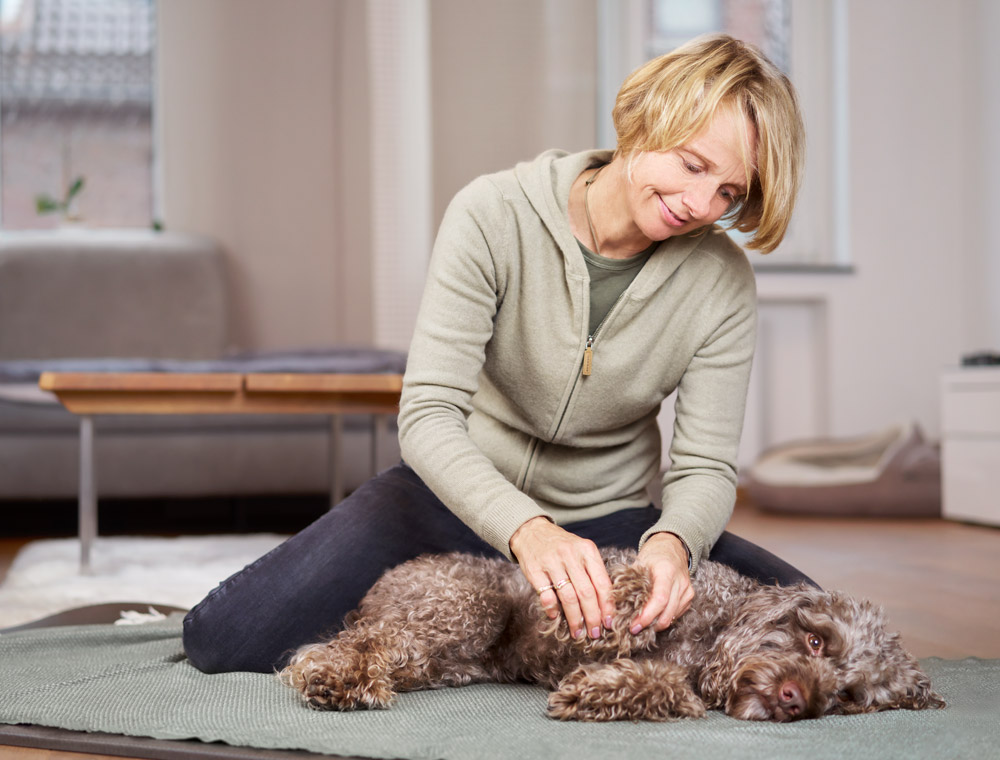 Physiotherapie und Osteopathie Behandlung von Jutta Stegers - Vitaler Hund