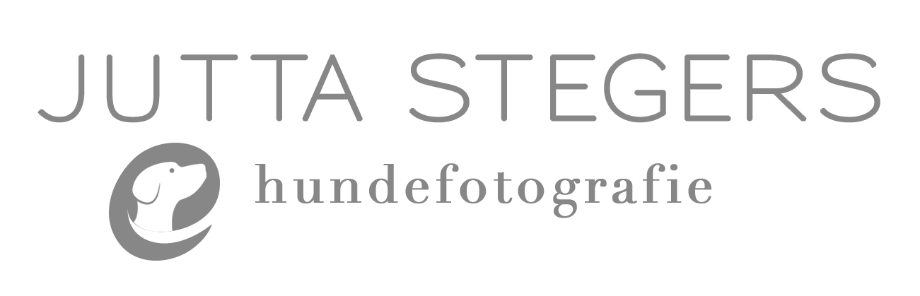 Logo Stegers Hundefotografie
