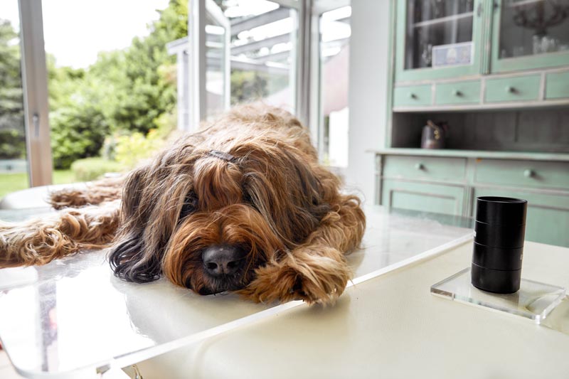 Biophoton-Religment-Mirrors