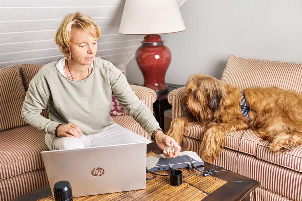 Informationsmedizin-Hunde Informationsmedizin-Hunde