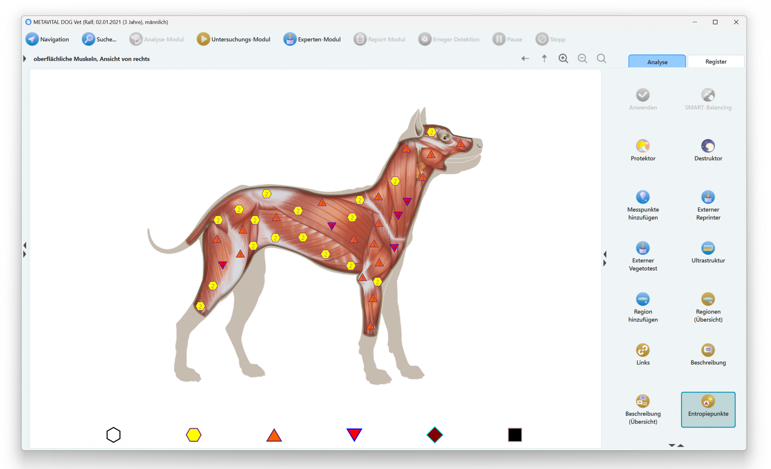 Metavital-Dog-Analyse Metavital-Dog-Analyse