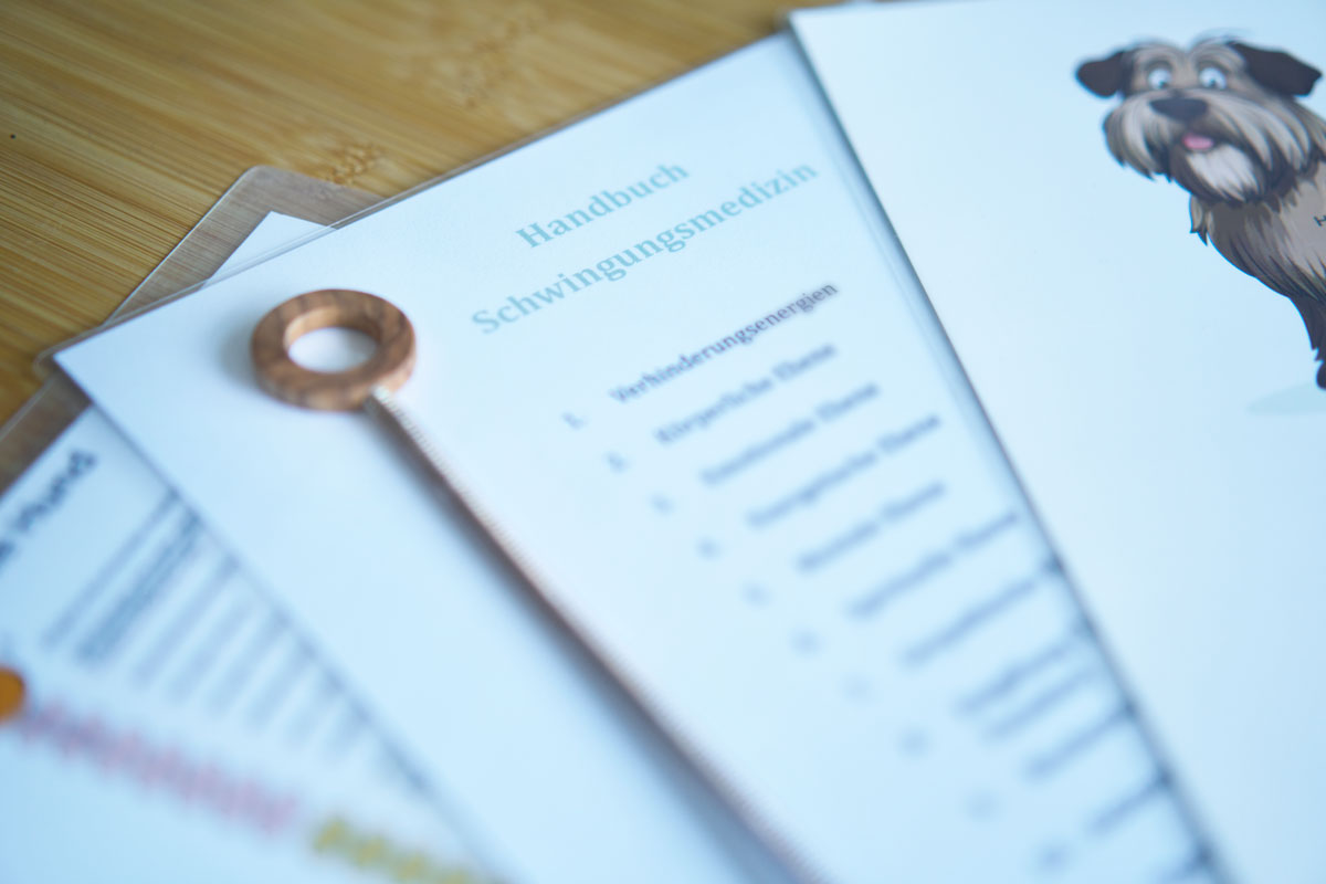 Schwingungsmedizin Schwingungsmedizin