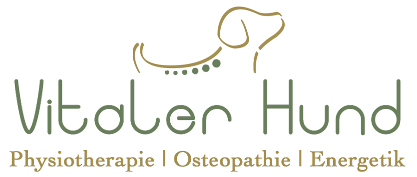 Vitaler Hund - Physio, Osteo & Energetik